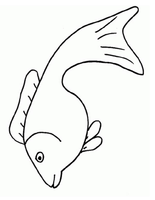Coloriage d'animaux marins évoluant dans un décor océanique