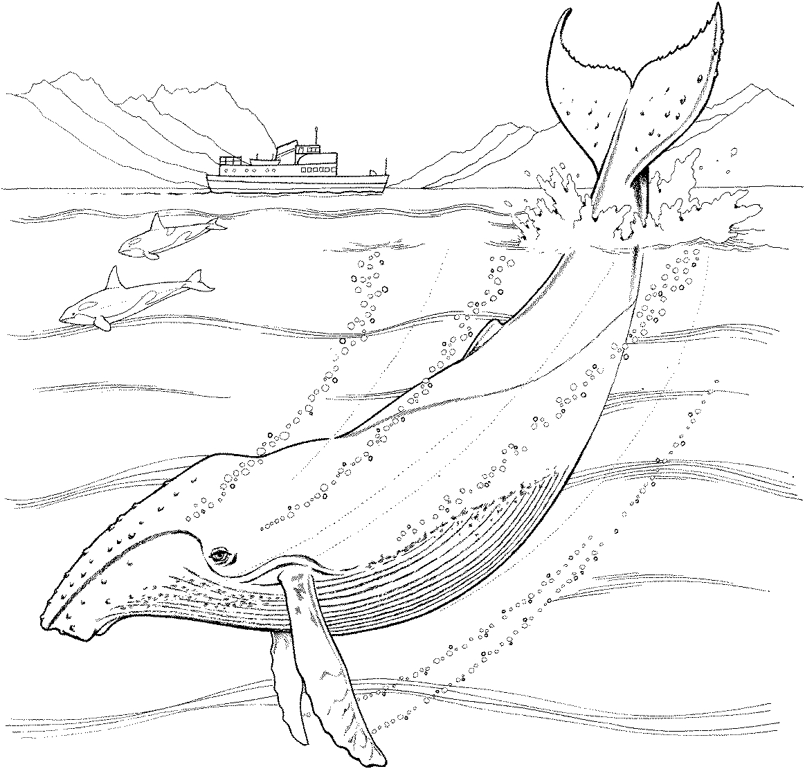 Coloriage d'animaux marins dans un océan vibrant Coloriage d'animaux marins dans un océan vibrant