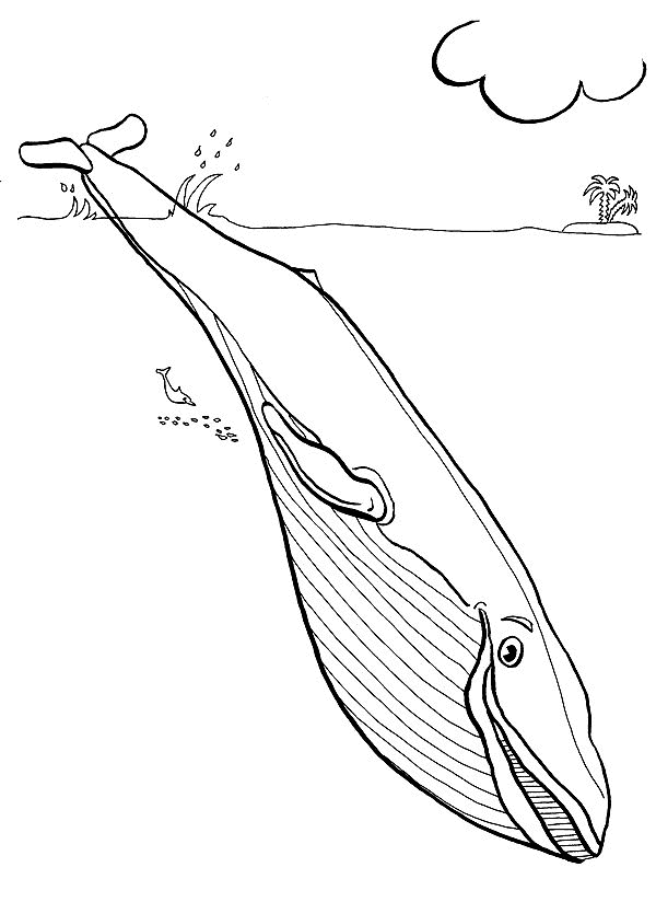 Coloriage d'animaux marins évoluant dans un paysage sous-marin