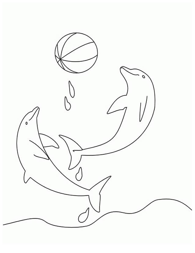 Coloriage d'animaux marins évoluant dans leur habitat naturel