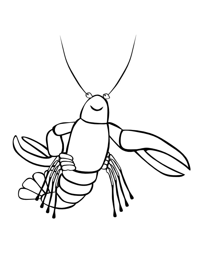 Coloriage d'animaux marins évoluant dans un décor sous-marin