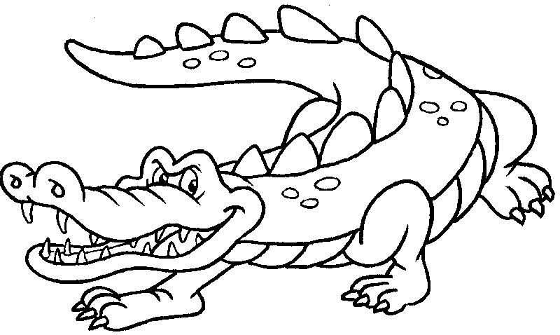 Coloriage d'animaux sauvages dans la jungle