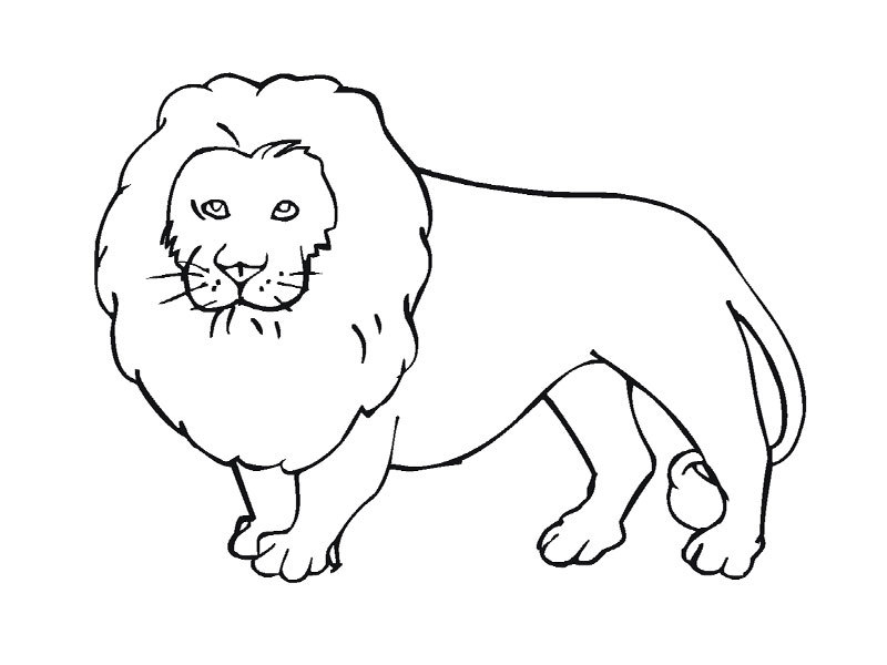 Coloriage d'animaux sauvages de la jungle en pleine activité Coloriage d'animaux sauvages de la jungle en pleine activité
