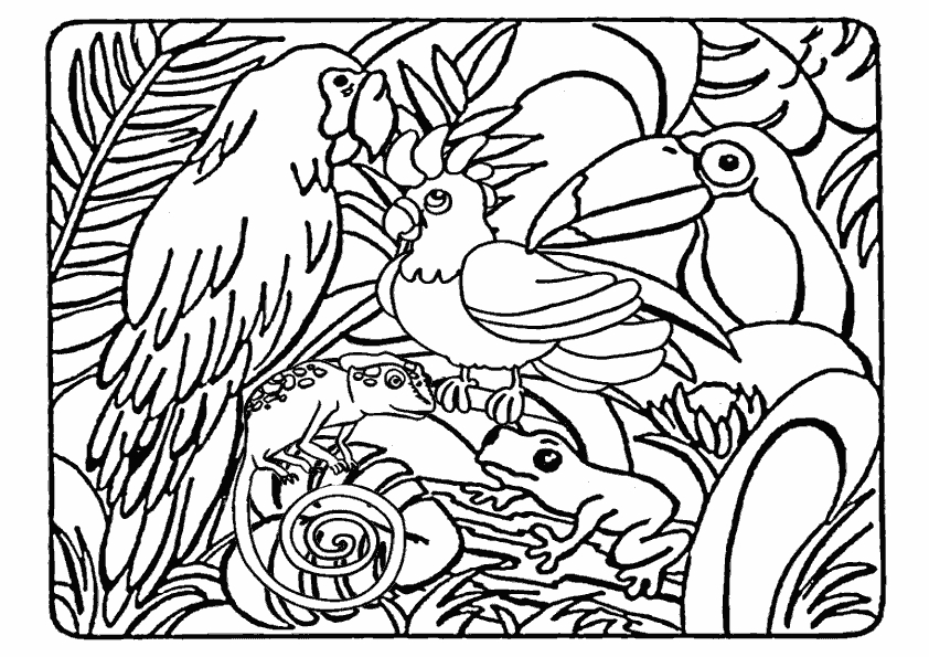Coloriage d'animaux sauvages de la jungle en pleine activité