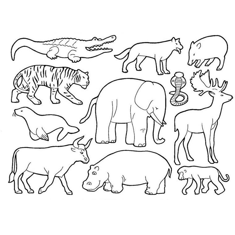 Coloriage d'animaux sauvages de la jungle entourés de feuillage