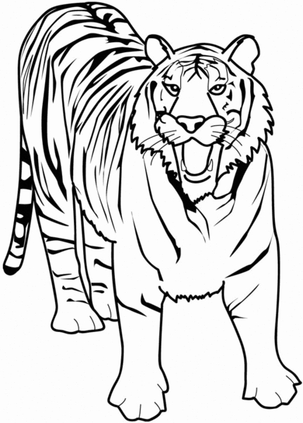 Coloriage d'animaux sauvages de la jungle en pleine activité