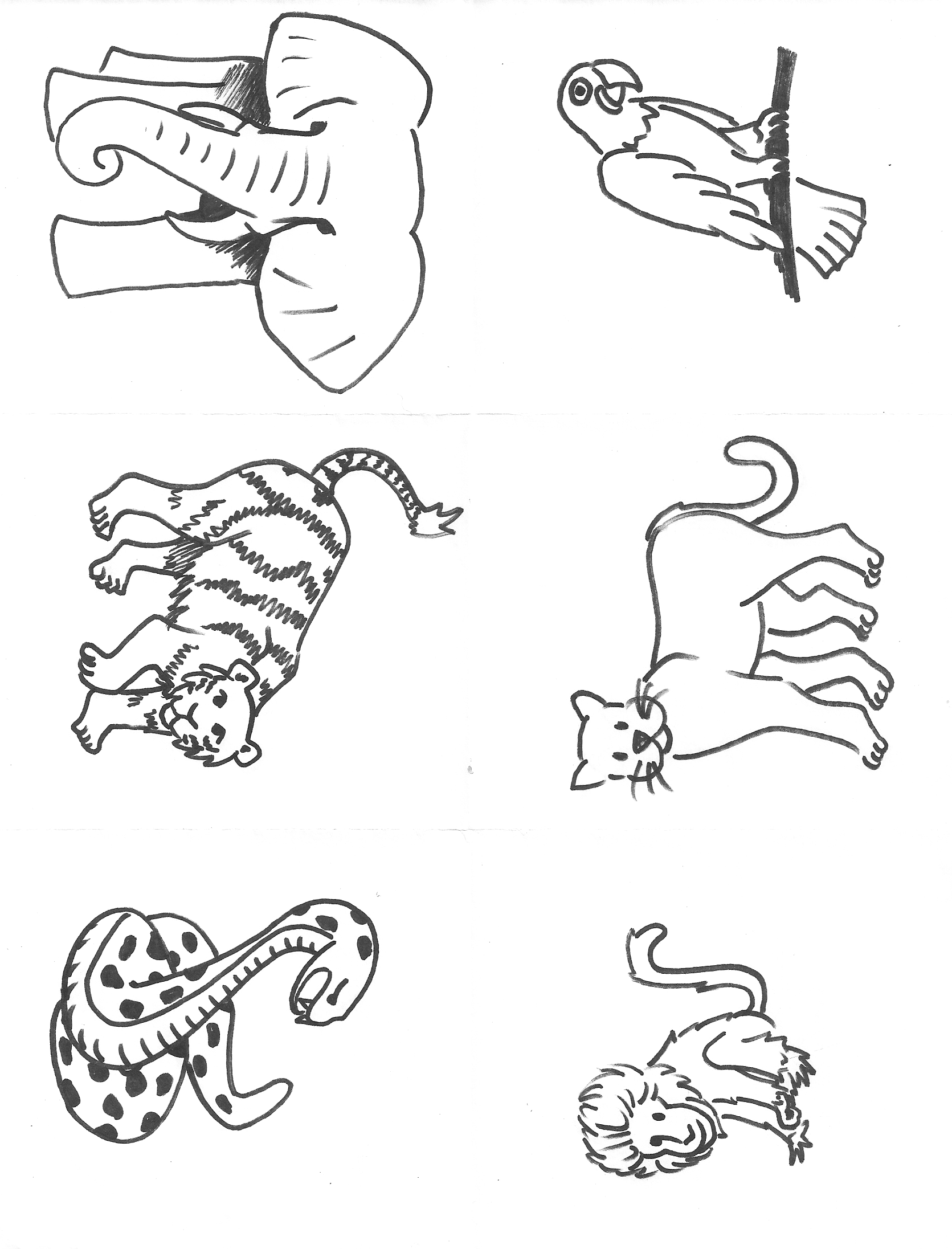 Coloriage d'animaux sauvages de la jungle en pleine exploration