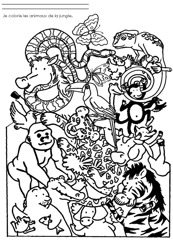 Coloriage d'animaux sauvages de la jungle entourés de feuillage