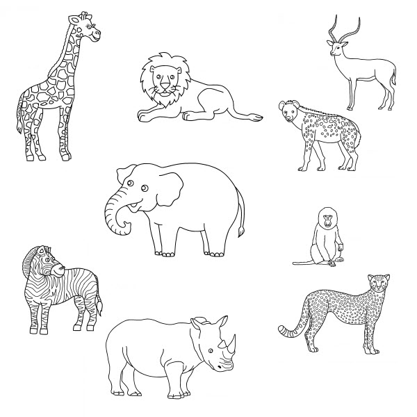Coloriage d'animaux sauvages dans la jungle