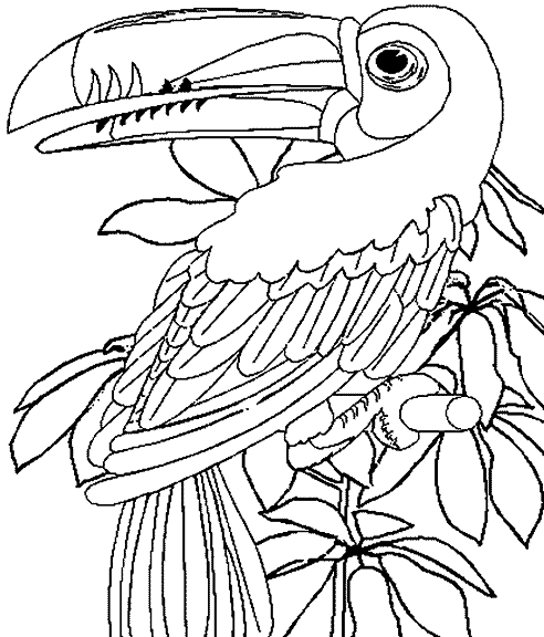 Coloriage d'animaux sauvages de la jungle en pleine activité