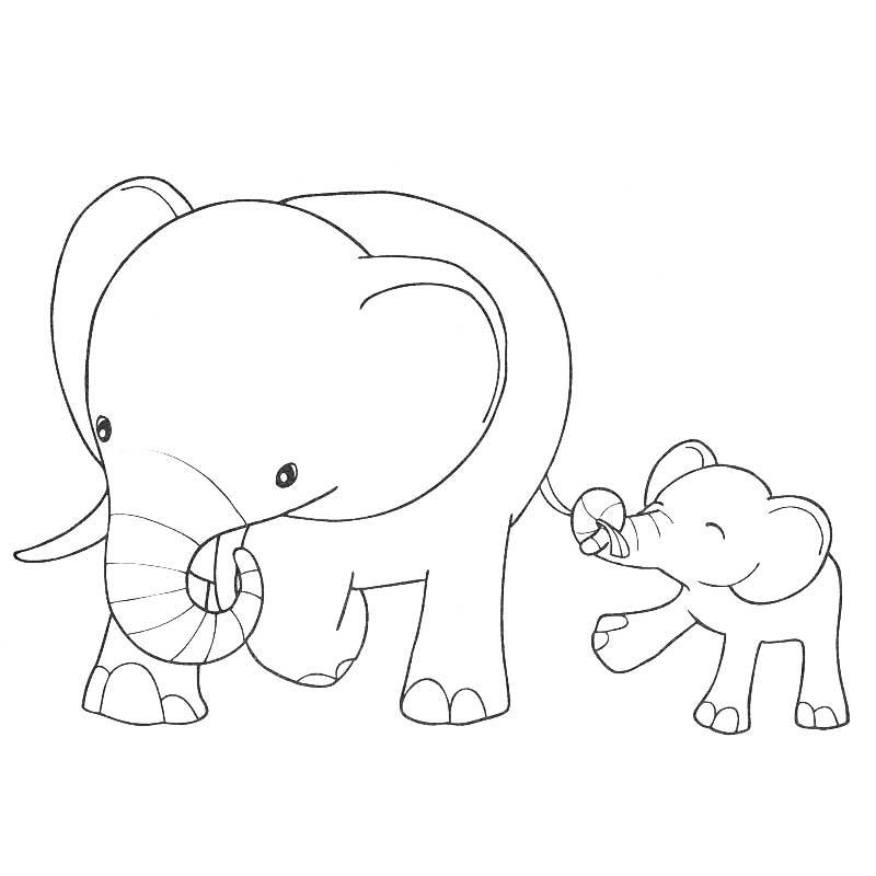 Coloriage d'animaux sauvages de la jungle en pleine exploration