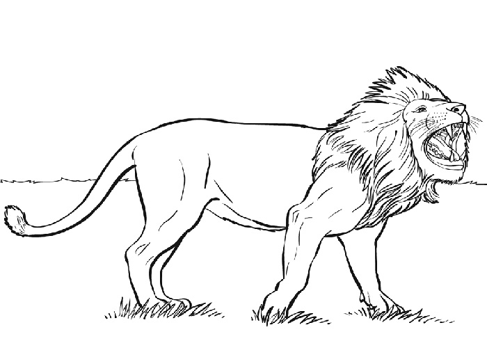 Coloriage d'animaux sauvages de la jungle en pleine activité