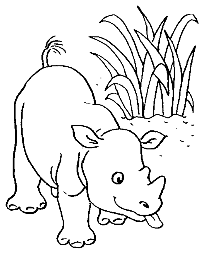 Coloriage d'animaux sauvages de la jungle en pleine activité