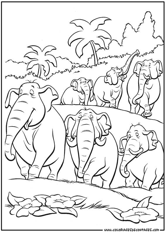 Coloriage d'animaux sauvages de la jungle en pleine activité