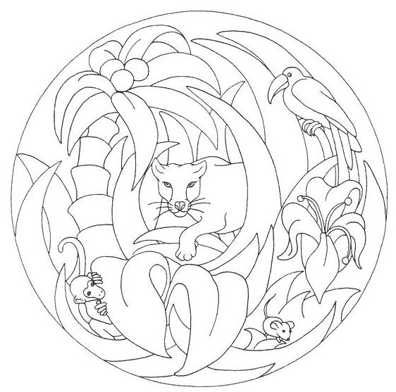 Coloriage d'animaux sauvages de la jungle en pleine activité