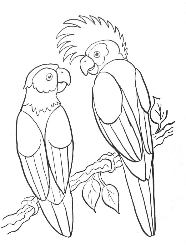 Coloriage d'animaux sauvages de la jungle en pleine activité