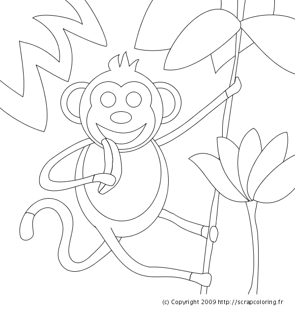 Coloriage d'animaux sauvages de la jungle en pleine activité