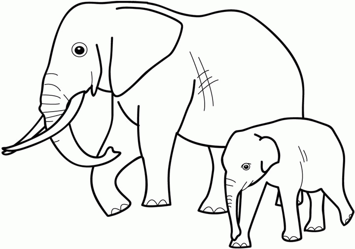 Animaux sauvages de la jungle en pleine exploration