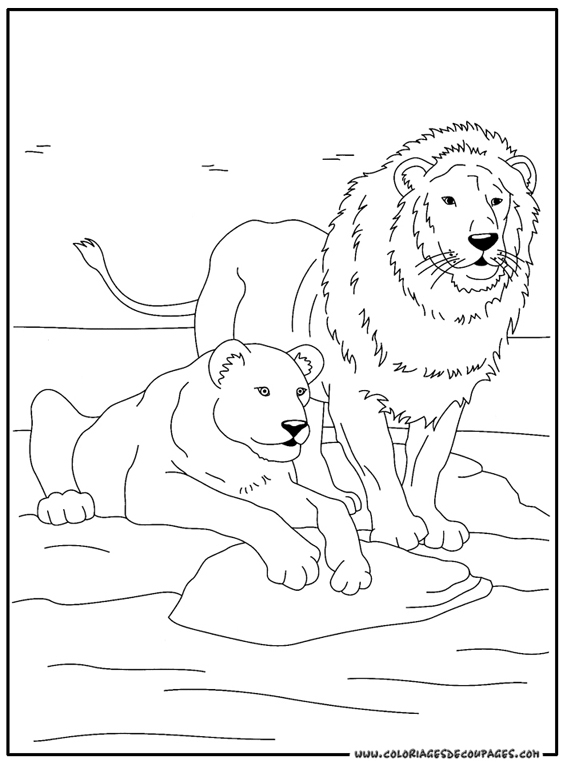Coloriage d'animaux sauvages de la jungle en pleine activité
