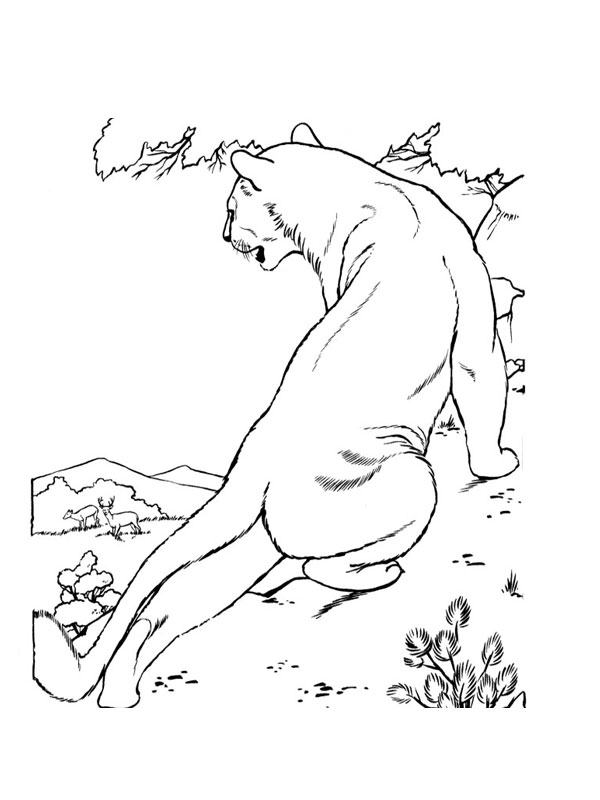 Coloriage d'animaux sauvages de la jungle en pleine activité