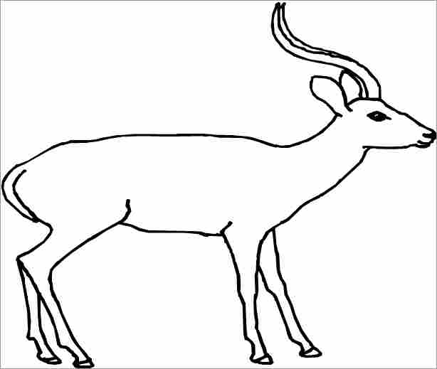 Antilope en pleine course à travers la savane
