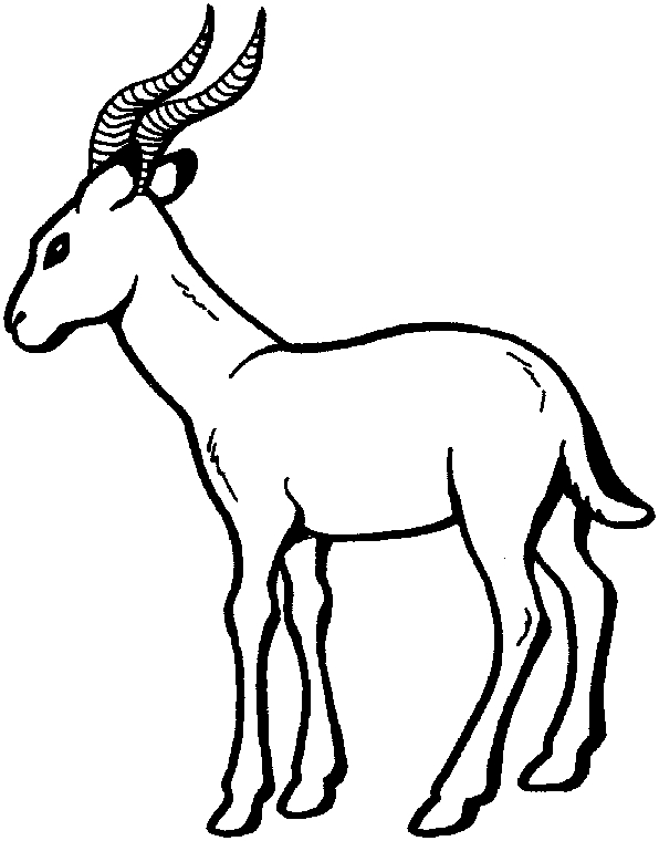 Antilope en pleine nature entourée de végétation