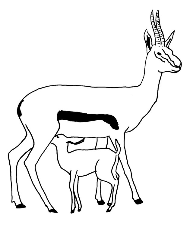 Antilope majestueuse dans un paysage naturel