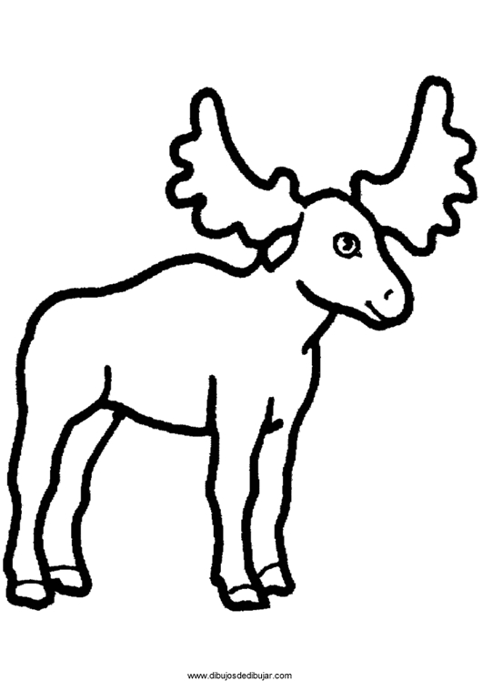 Antilope paisible dans un environnement naturel