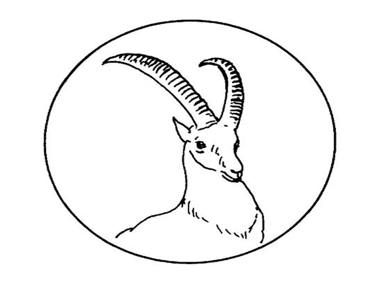 Antilope paisible dans son habitat naturel