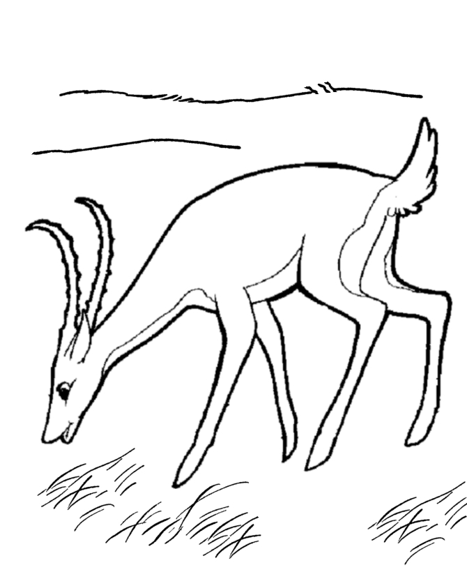 Antilope en pleine nature sur un coloriage détaillé