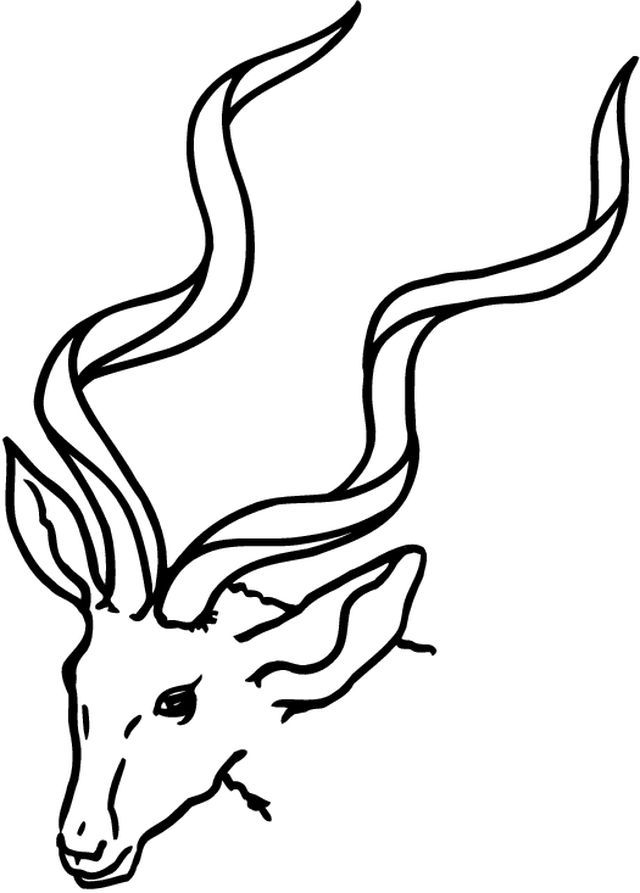 Antilope en train de brouter dans un paysage naturel