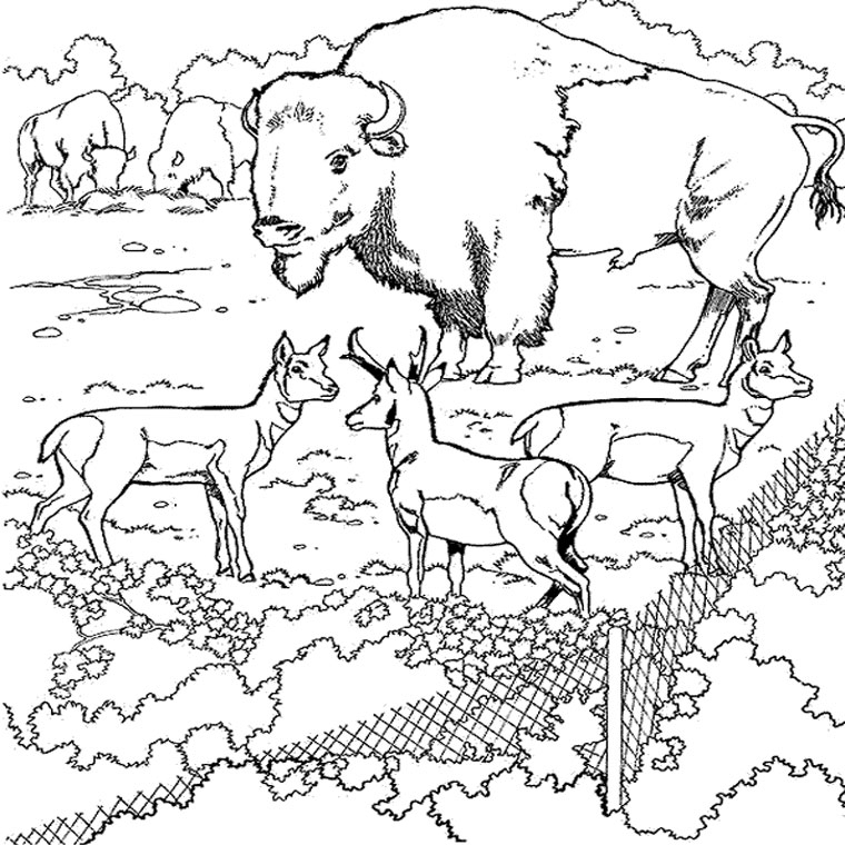 Antilope paisiblement dessinée dans son habitat naturel