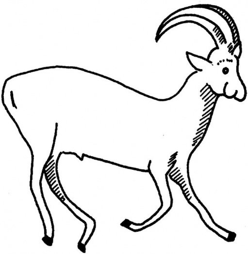 Antilope en pleine nature, entourée de feuillage