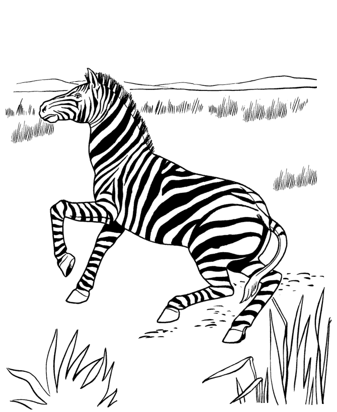 Antilope au repos dans un paysage naturel