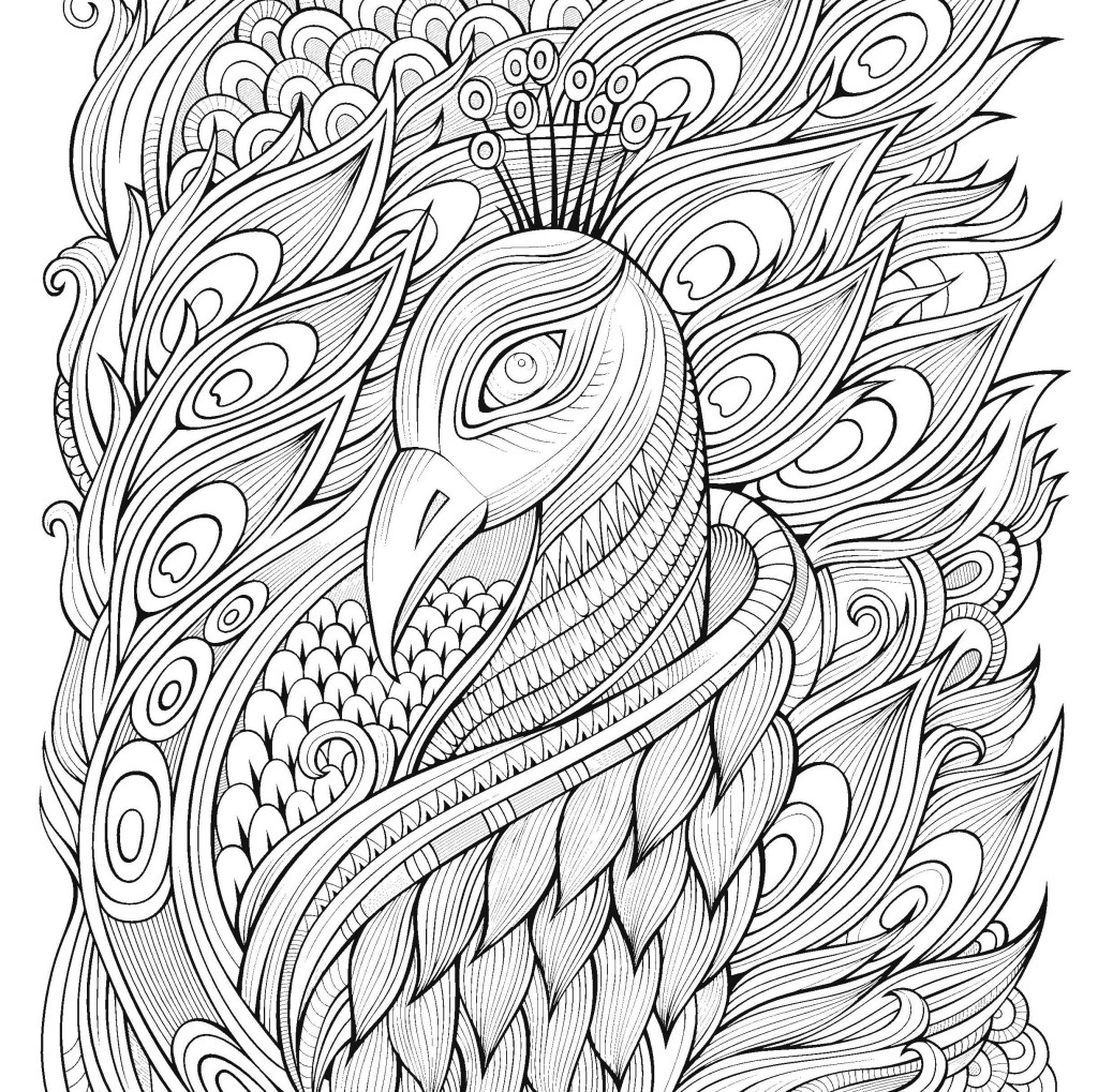 Coloriage antistress avec des motifs géométriques et floraux