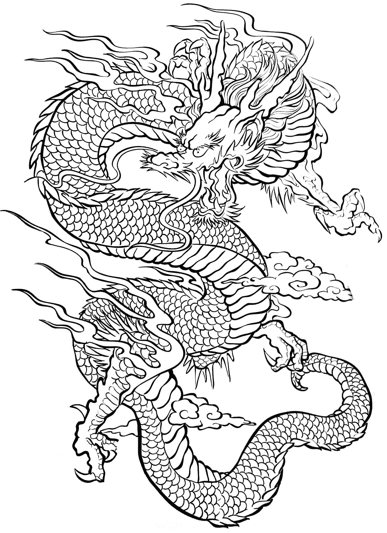 Coloriage antistress d'un mandala floral complexe Coloriage antistress d'un mandala floral complexe