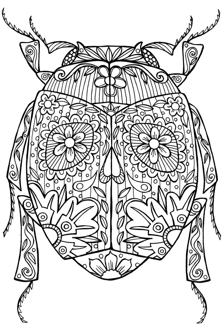 Coloriage antistress avec motifs floraux et géométriques Coloriage antistress avec motifs floraux et géométriques