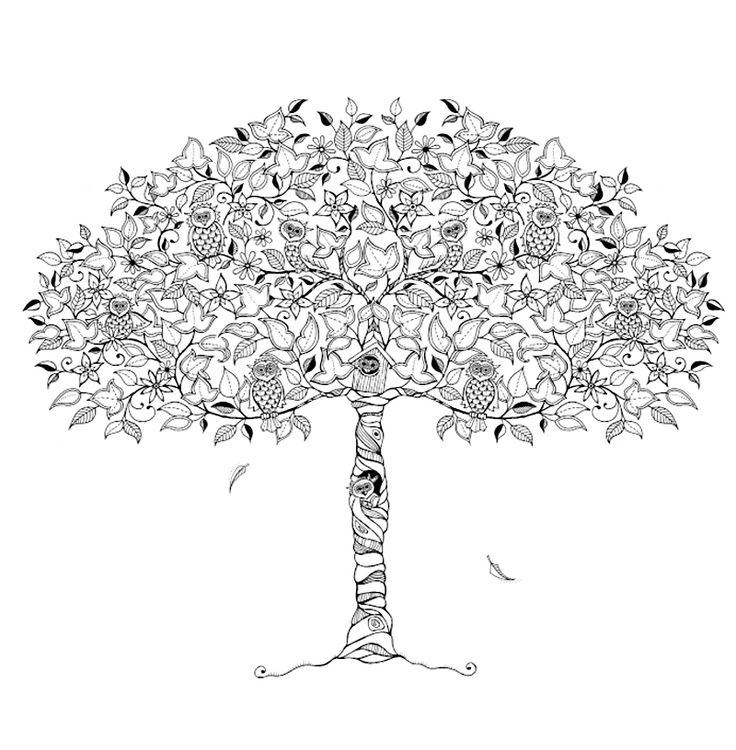Coloriage antistress représentant un mandala complexe avec des motifs floraux