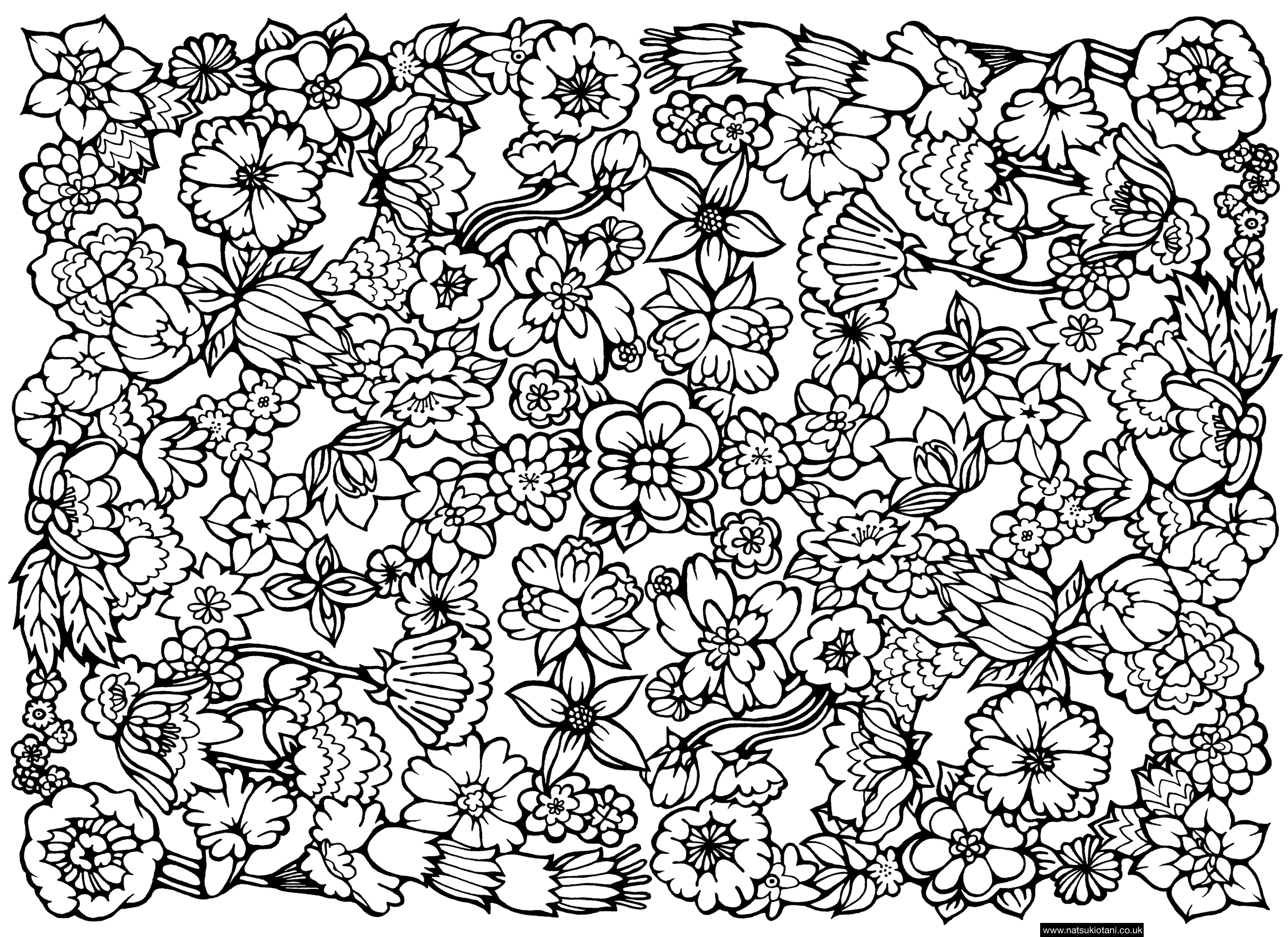 Coloriage antistress avec motifs géométriques et floraux