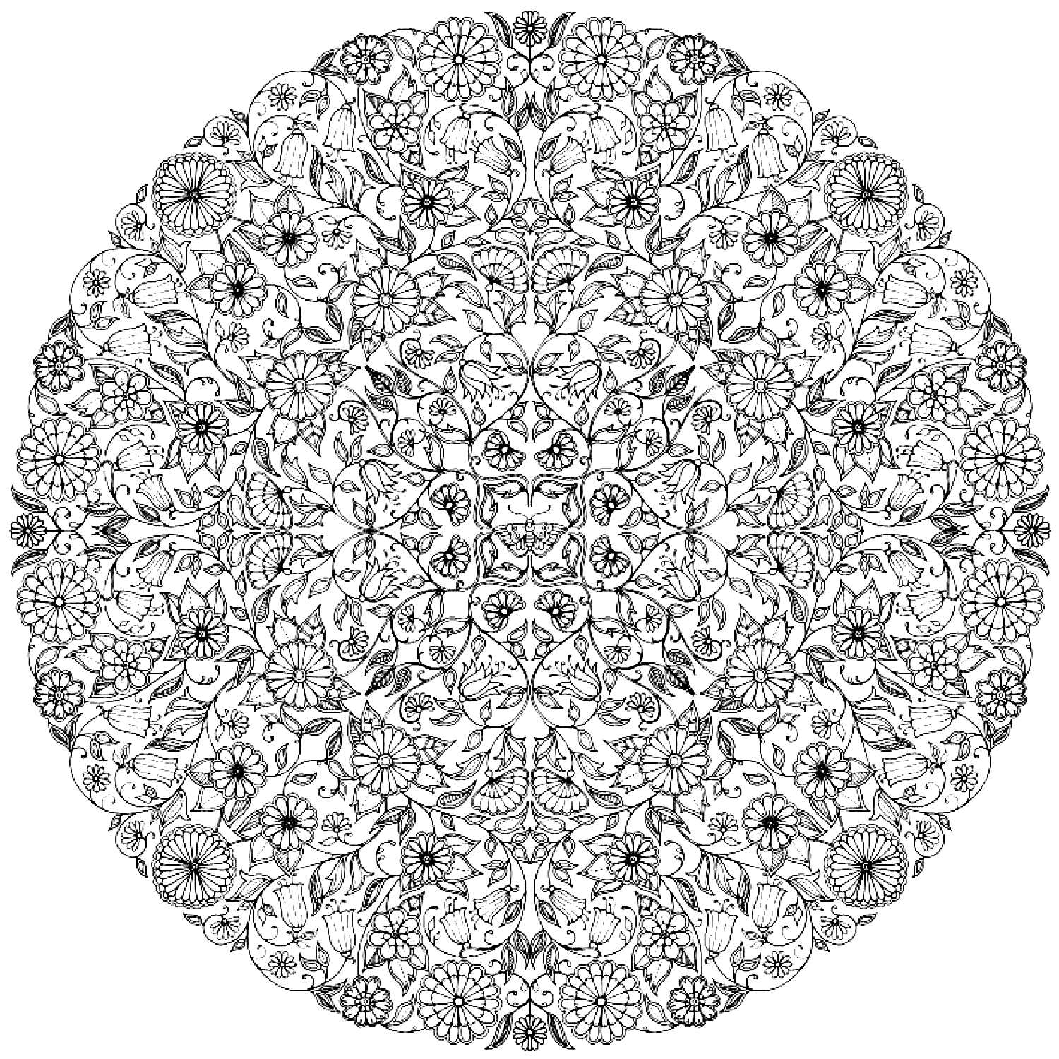 Coloriage antistress d'un motif floral complexe