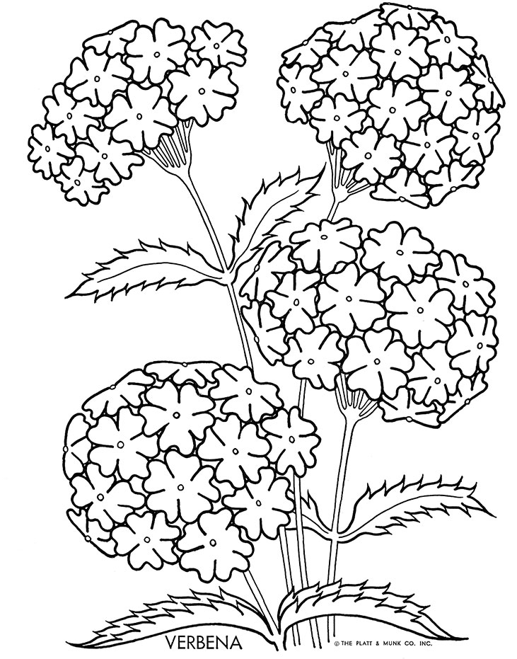 Coloriage antistress représentant des motifs géométriques entrelacés