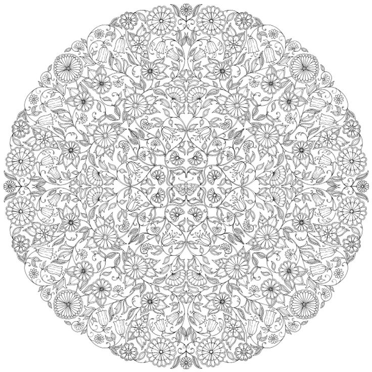 Coloriage antistress avec motifs floraux et géométriques entrelacés