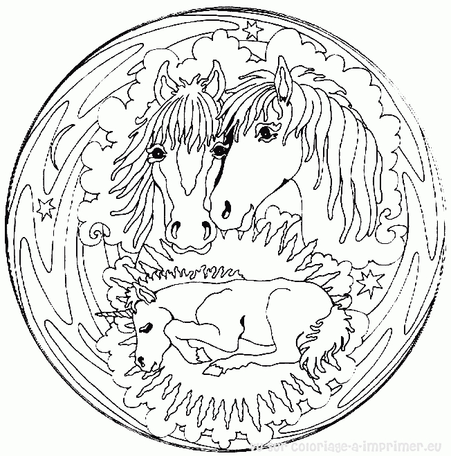 Coloriage antistress avec motifs floraux et géométriques