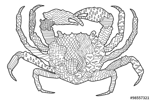 Coloriage antistress avec motifs géométriques et floraux