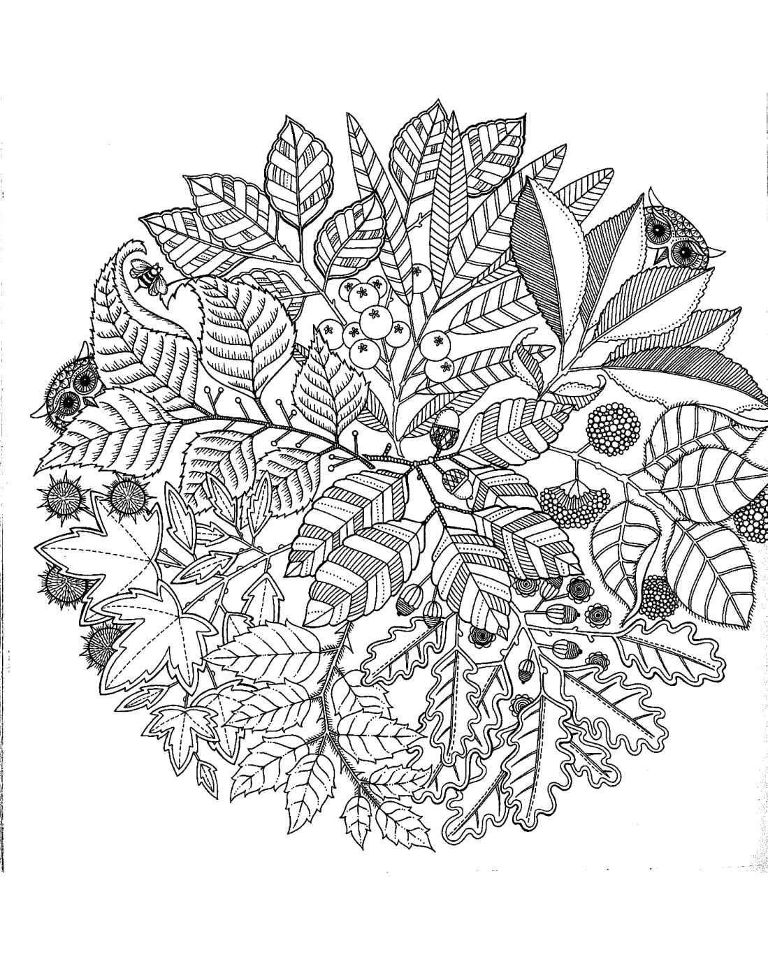 Coloriage antistress de motifs géométriques et floraux entrelacés