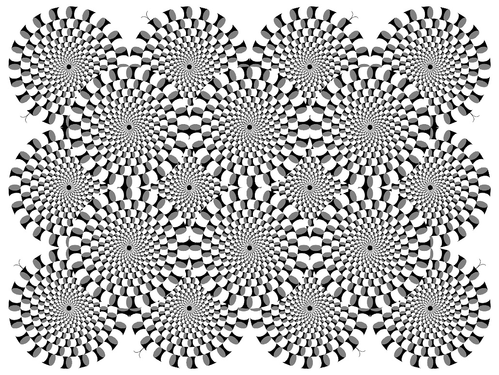 Coloriage antistress avec motifs géométriques et floraux