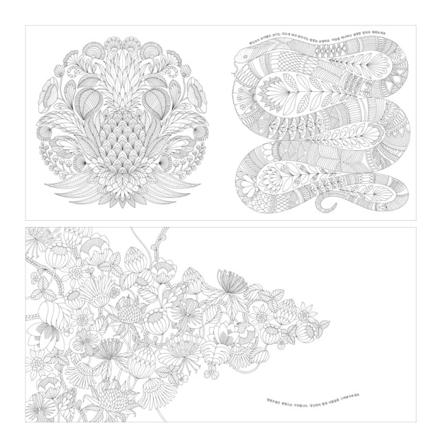 Coloriage d'un motif antistress complexe avec éléments géométriques et floraux