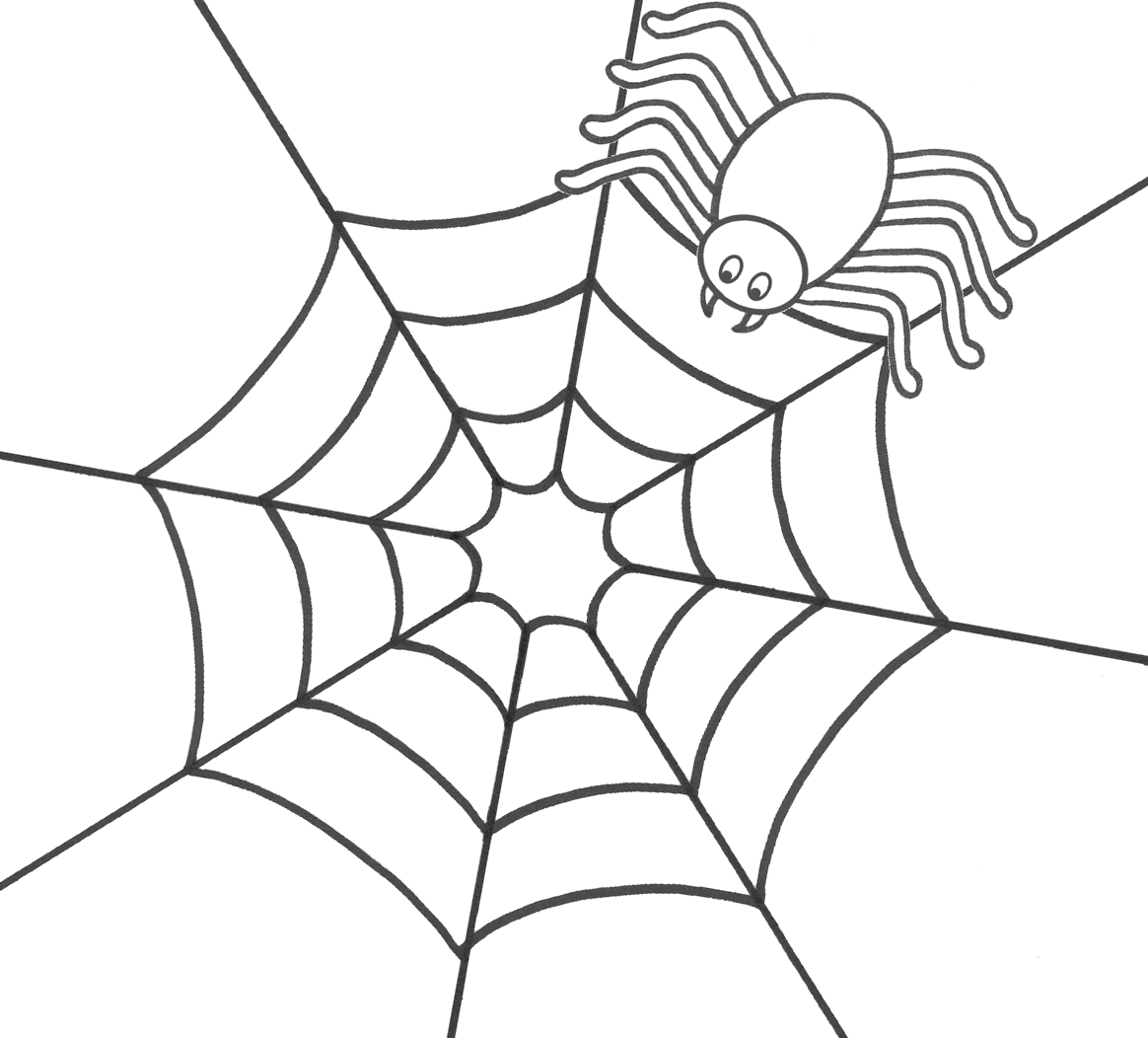 Coloriage d'une araignée délicatement posée sur une toile