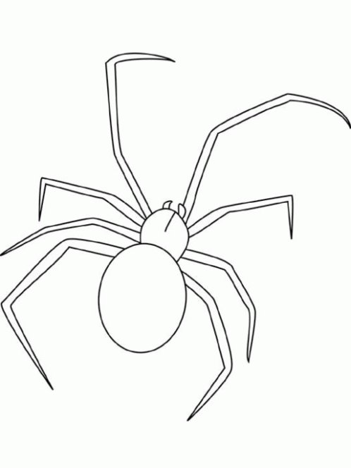 Coloriage d'une araignée sur sa toile délicate