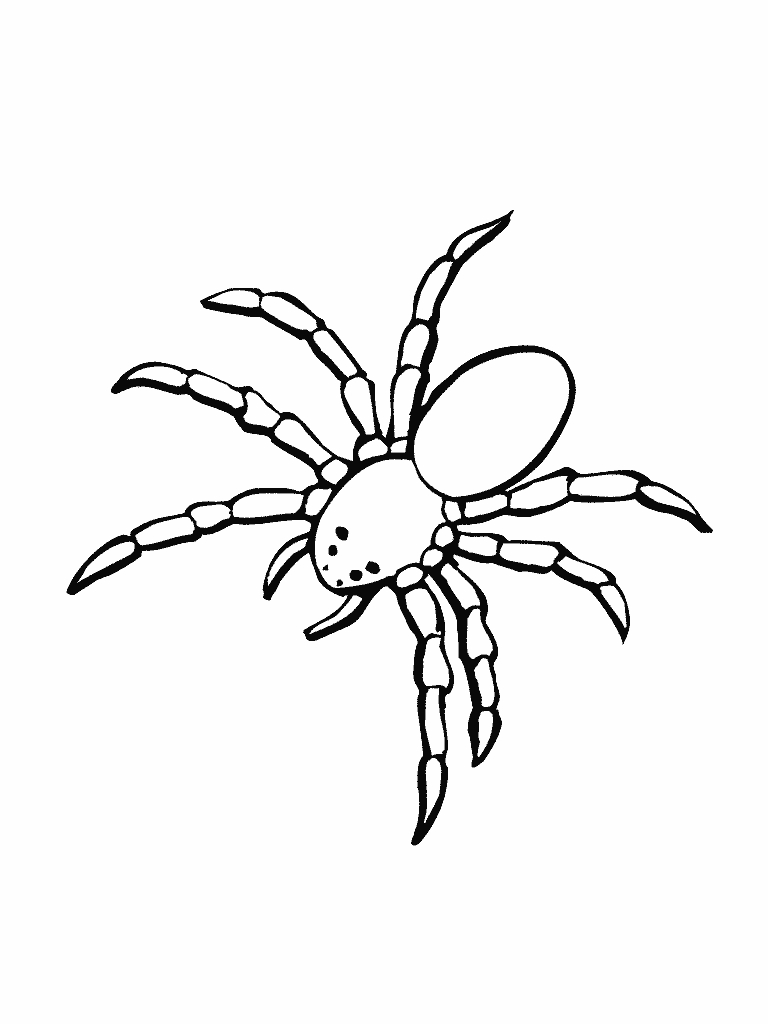 Coloriage d'une araignée suspendue entre des toiles d'araignée